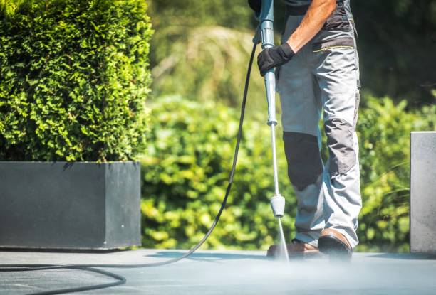 Best Building Exterior Pressure Washing in Needville, TX