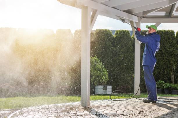 Best Vinyl Siding Pressure Washing in Needville, TX