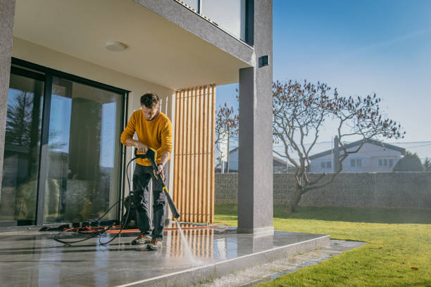 Best Graffiti Removal Services in Needville, TX