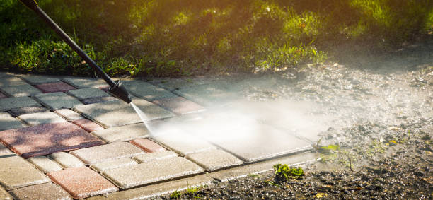 Best Brick and Stone Cleaning in Needville, TX