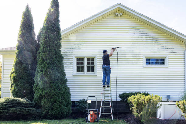 Best Commercial Pressure Washing in Needville, TX